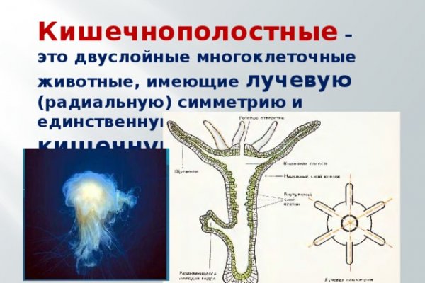 Кракен открылся