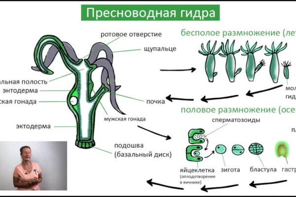 Кракен плейс