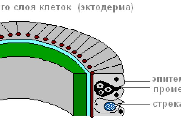 Как восстановить аккаунт на кракене даркнет