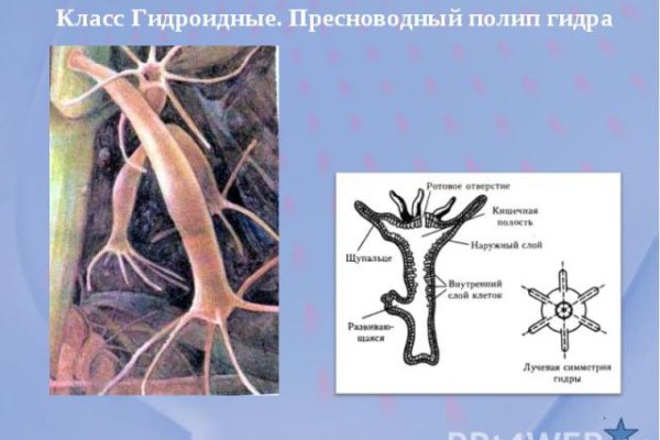 Кракен магазин kr2web in тор