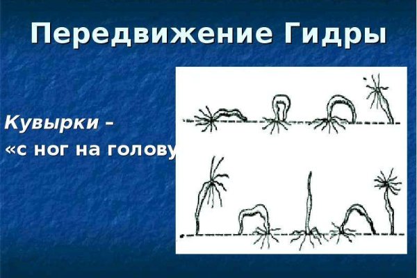 Kraken зеркало рабочее