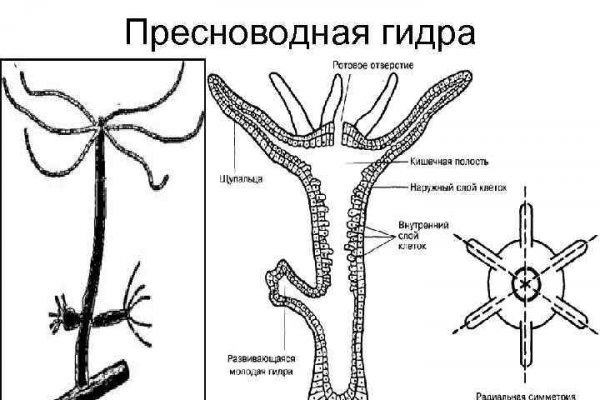 Kraken магазин ссылка